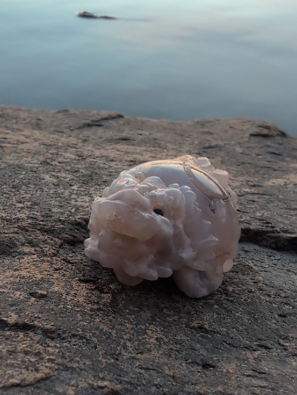 Turtle Dragon Baby Sakura Agate Cherry Blossom